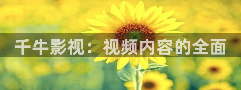 伦理中文被窝影院