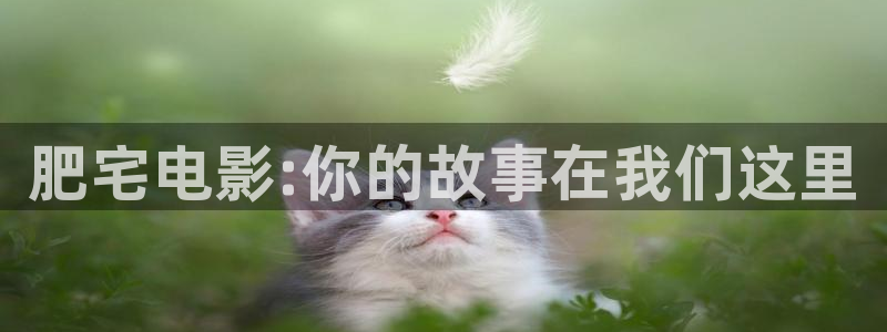 久久精品影院97影院被窝影院免费观看