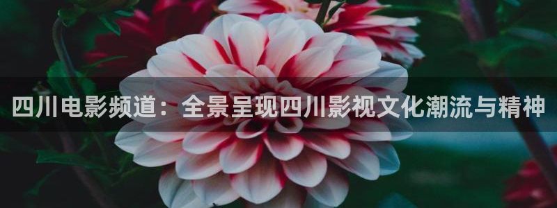 被窝电影久久久